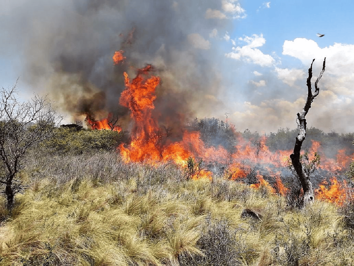 Córdoba: Declaran emergencia agropecuaria para zonas afectadas por incendios