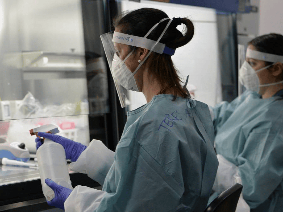 Coronavirus: avanzan en Argentina con aplicación a infectados de antiparasitario de uso animal