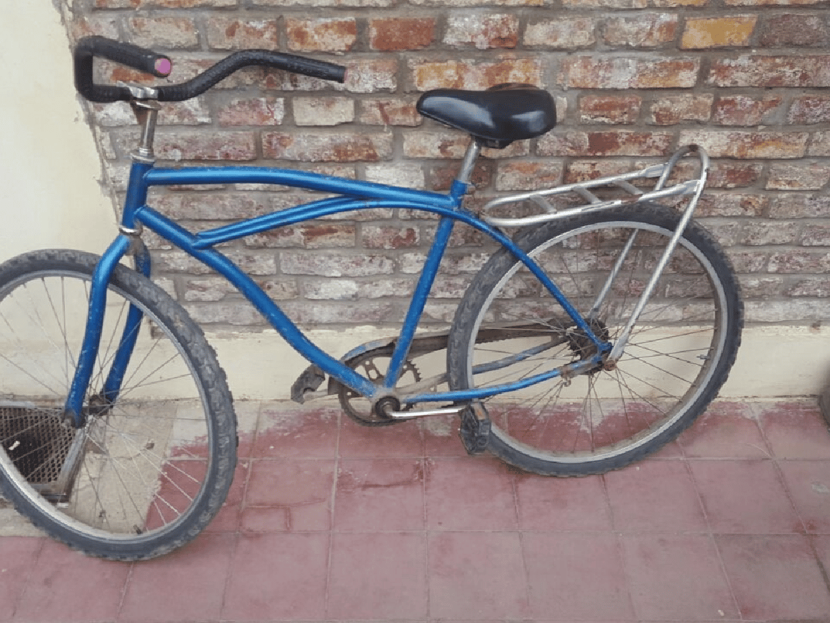 Vecino atrapó a ladrón de bicicletas 