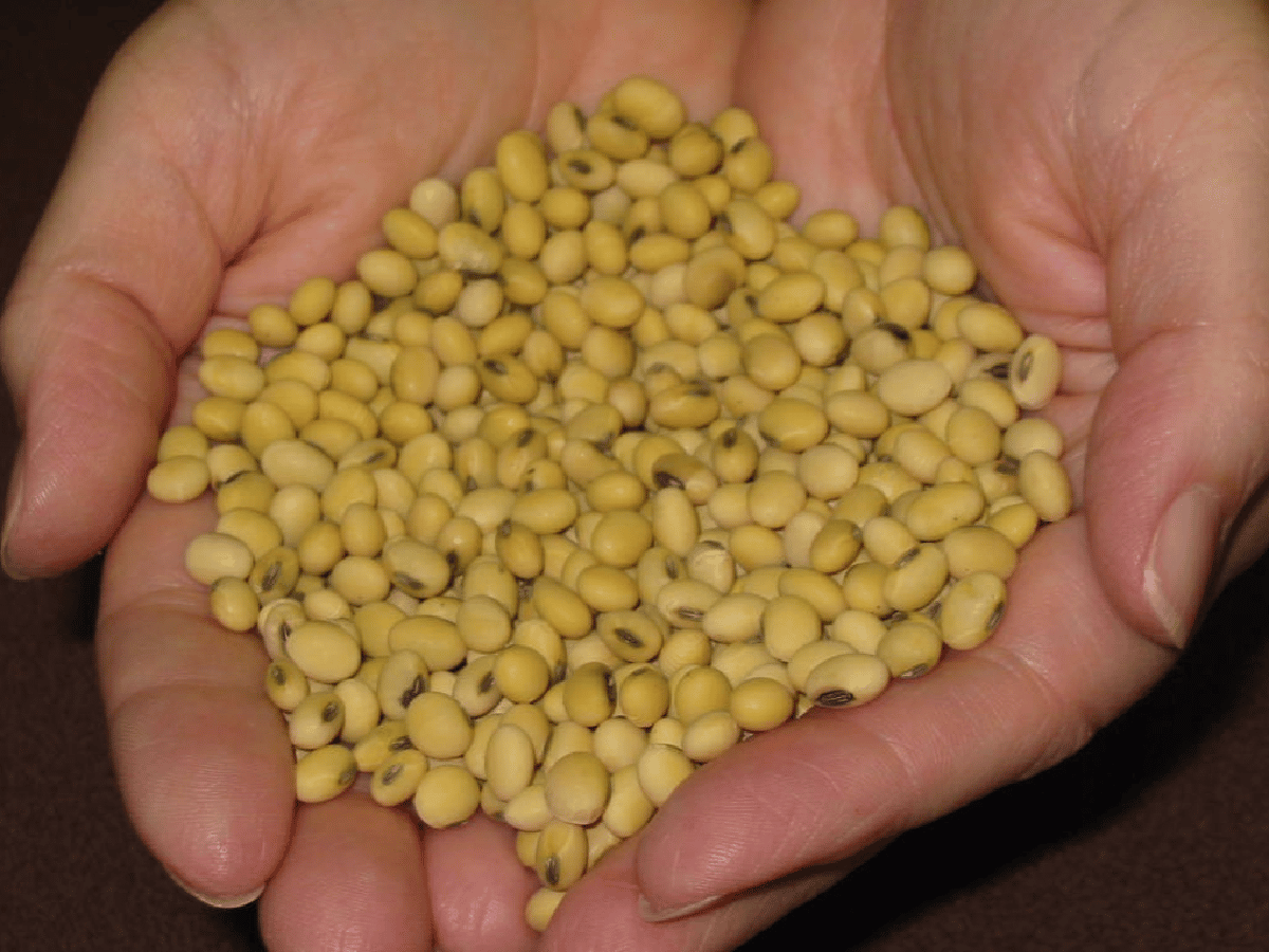 Afip modifica la retención mínima de Ganancias para comercializadores de granos