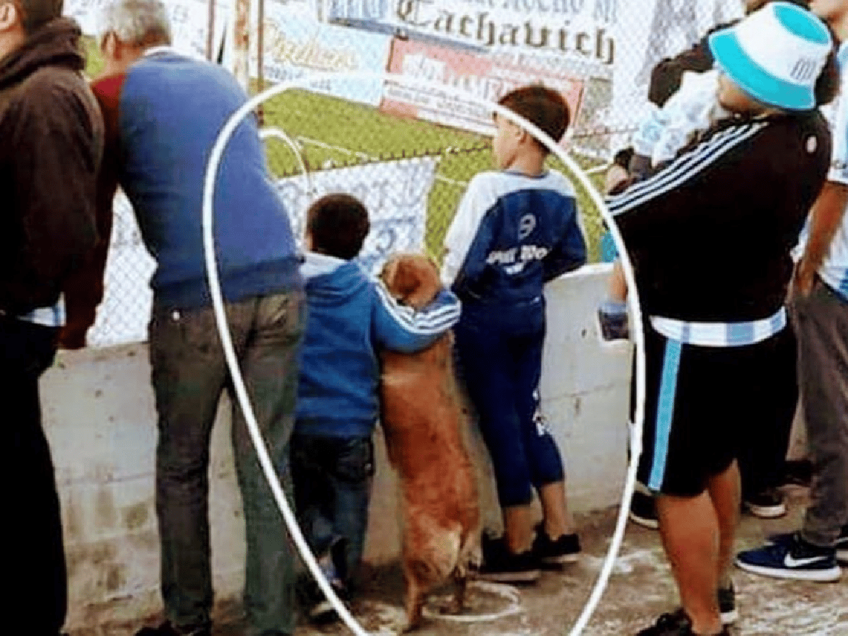 El niño, el perro y el fútbol, la foto que se viraliza y conmueve 