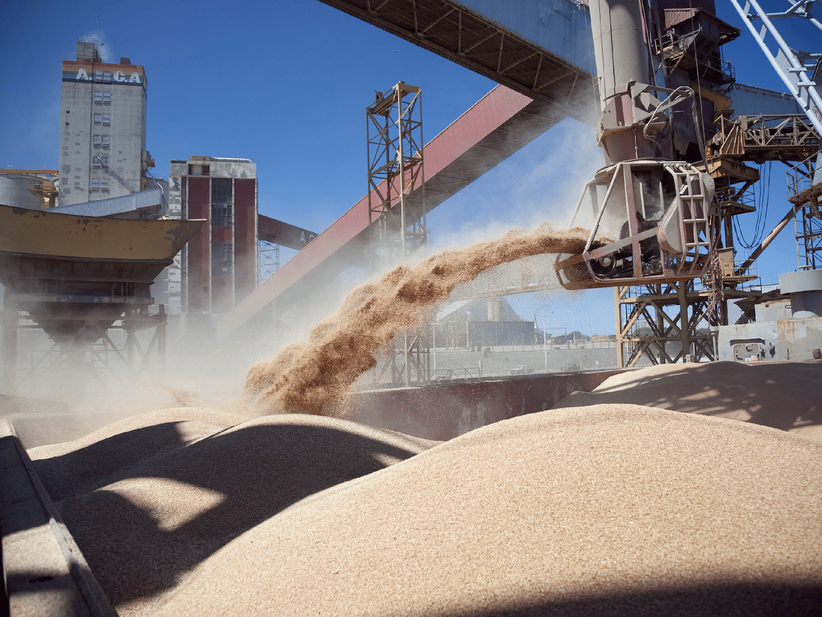 Histórico: China comprará harina de soja argentina