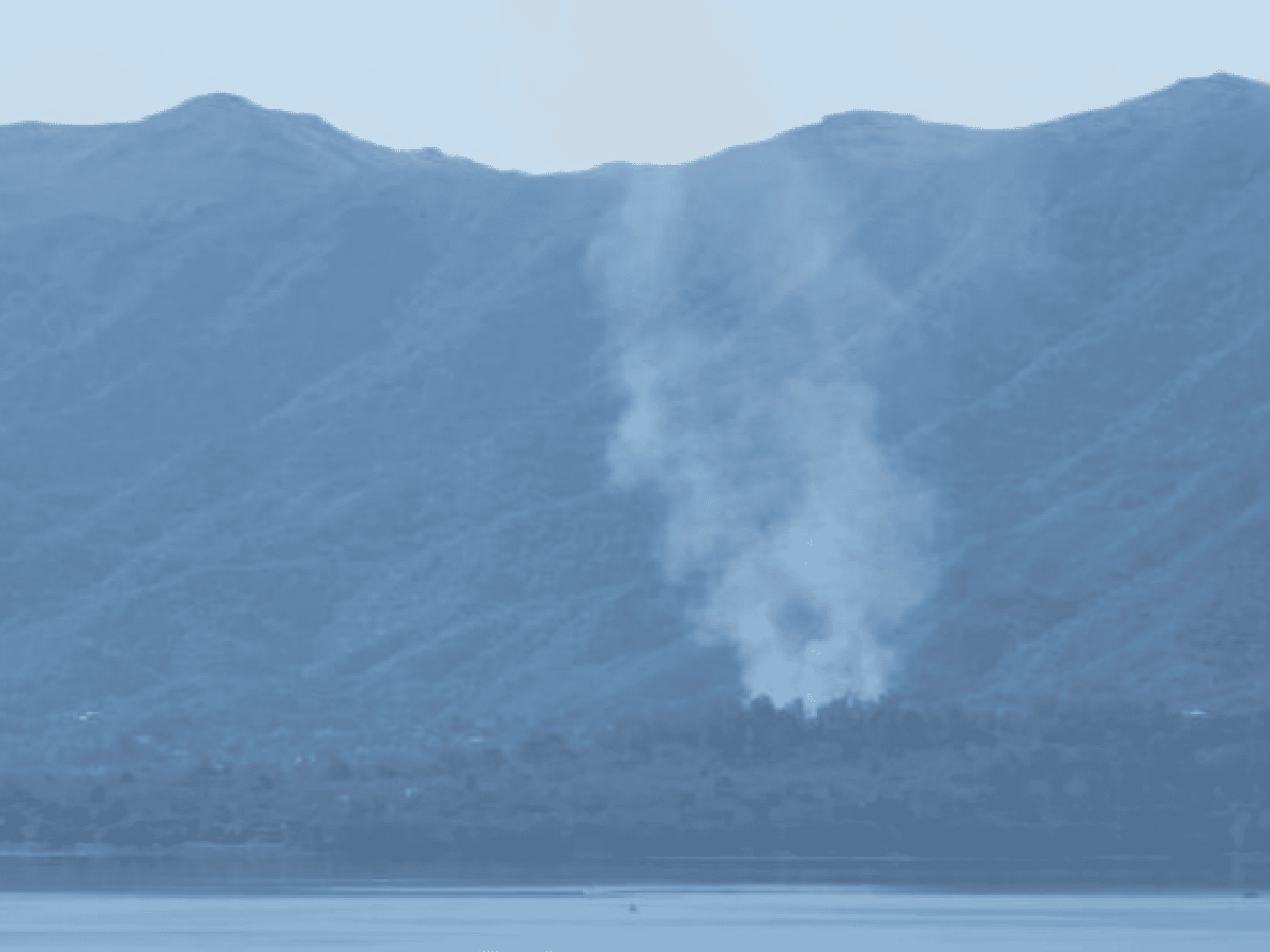 Bomberos combaten un incendio forestal en San Roque