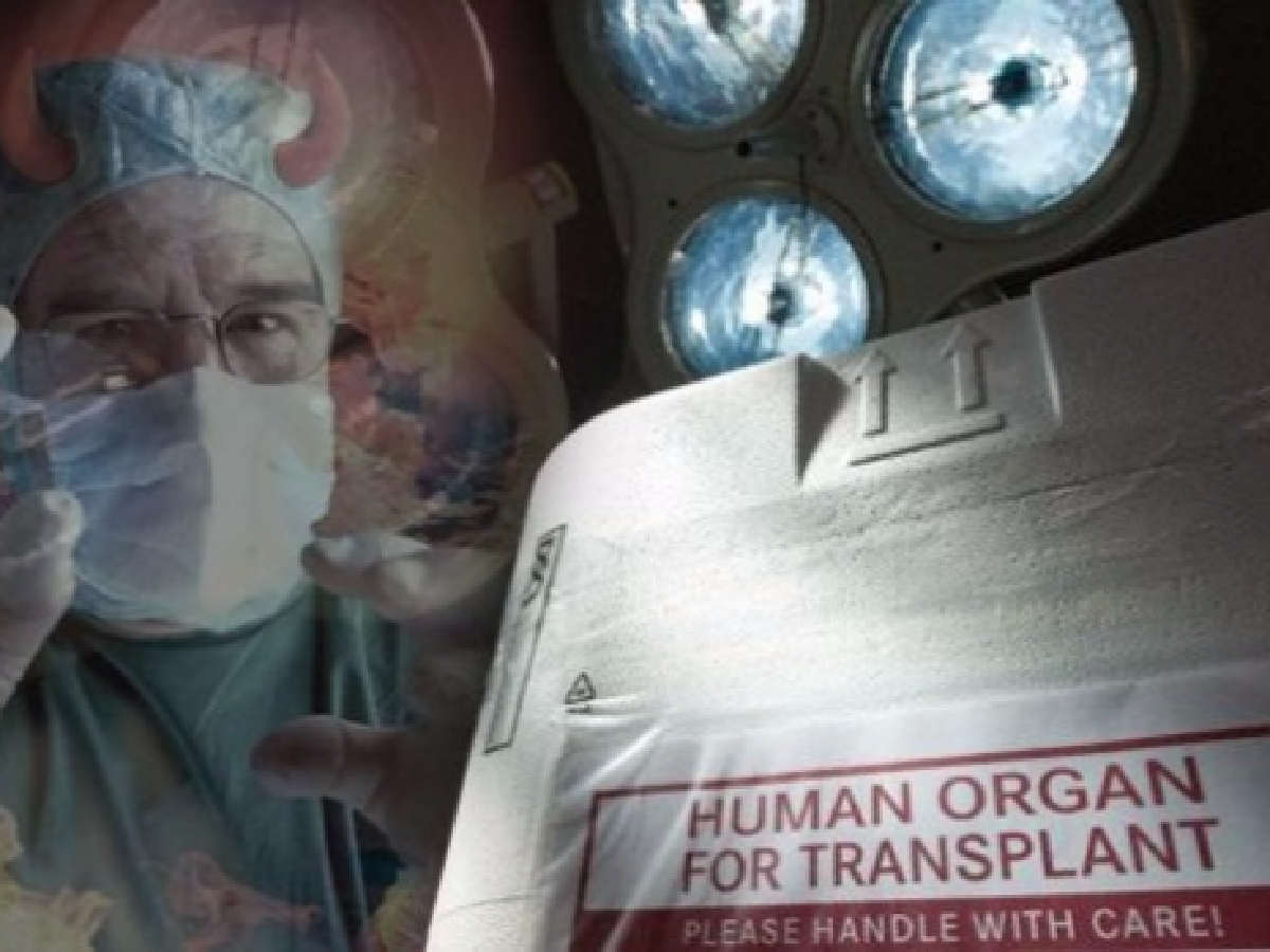 Argentina "es un país libre de tráfico de órganos",  aseguran expertos en un congreso en el Vaticano