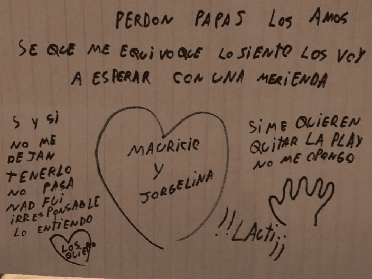 "Perdón papás, los amo": la carta de un niño por comprar un conejo a escondidas