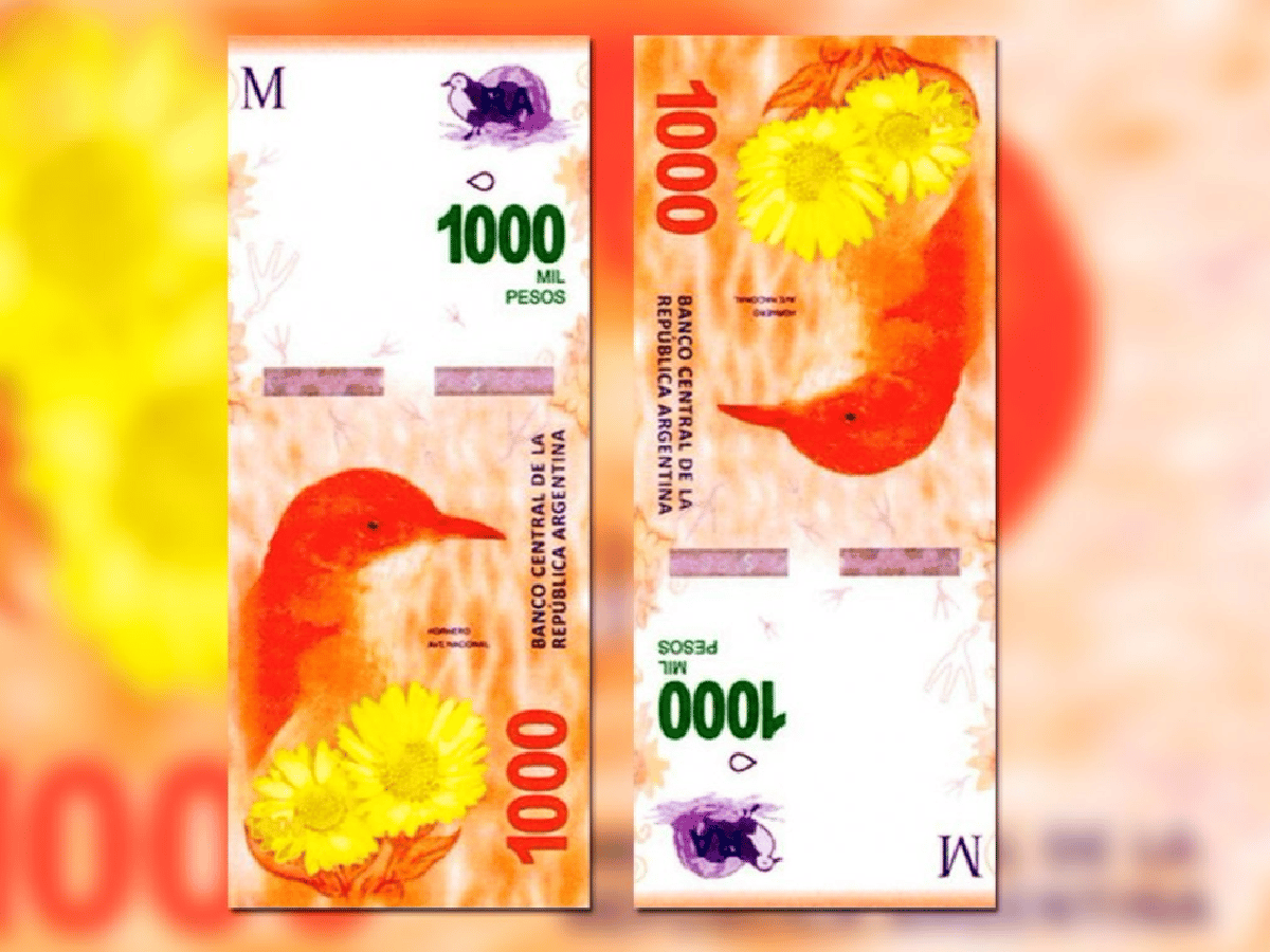La Anses difundió medidas de seguridad para evitar fraudes con los billetes de mil pesos