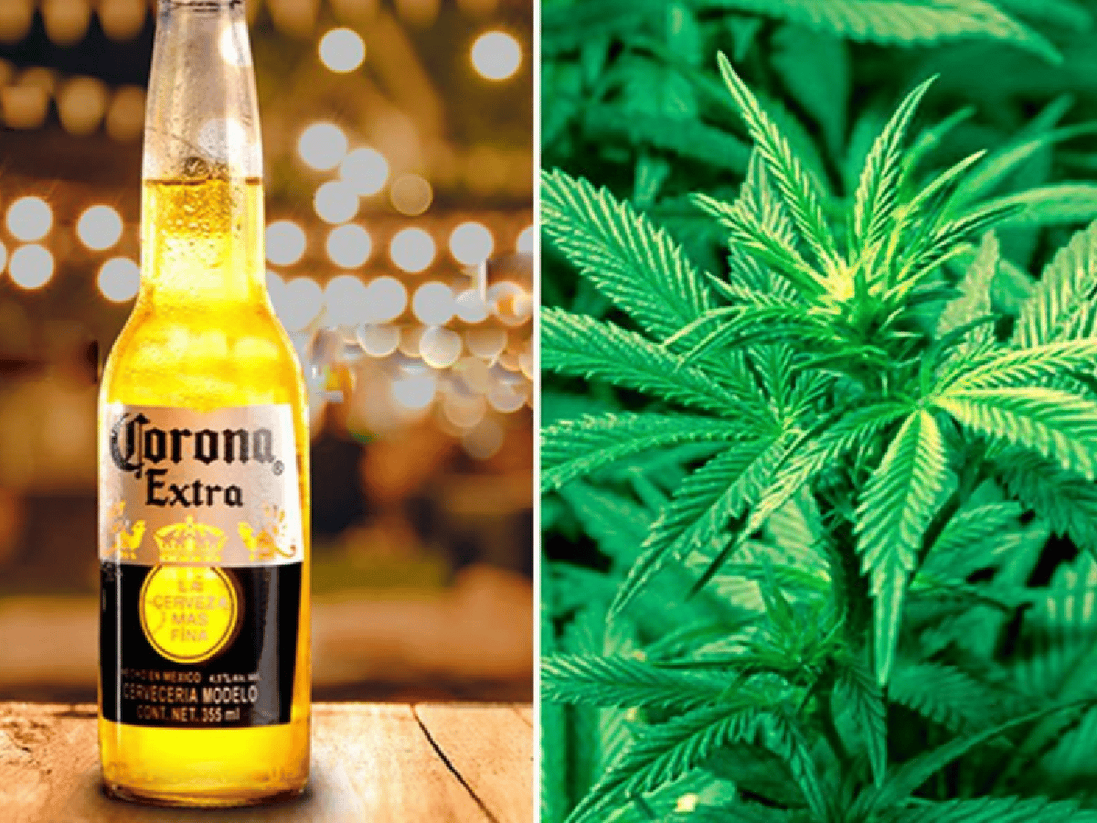 Los dueños de la cerveza Corona apuestan a la marihuana