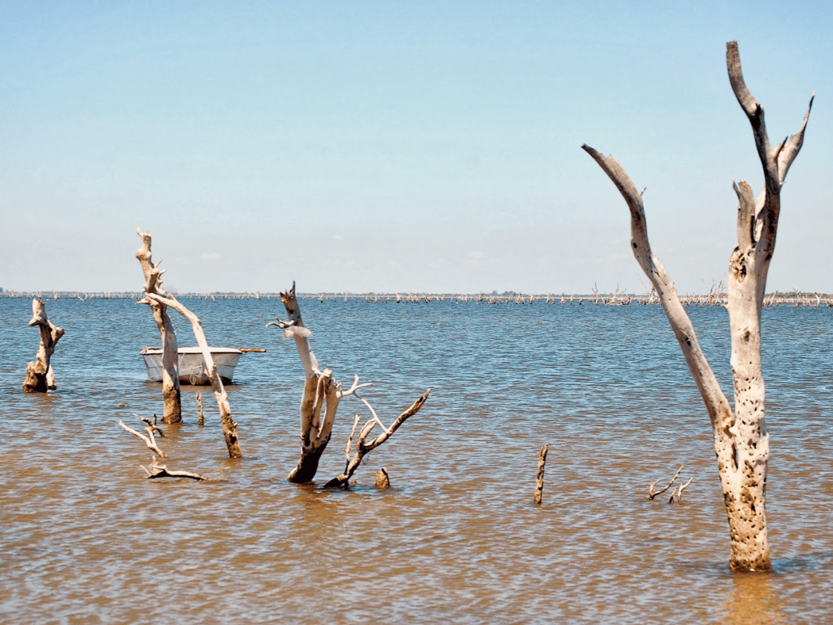 Buscan a un sanfrancisqueño desaparecido en la Laguna Mar Chiquita 