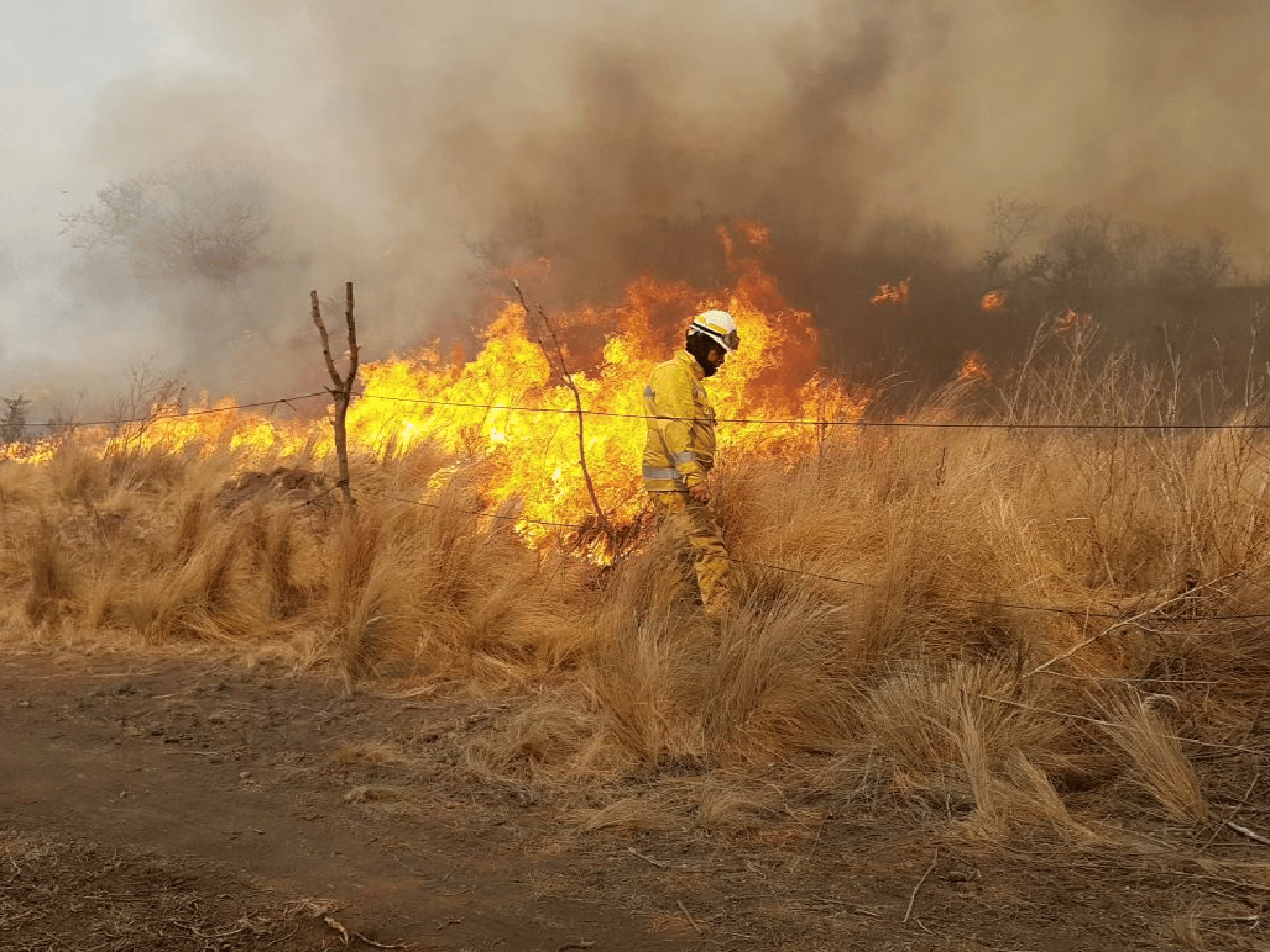 Los incendios arrasaron más de ocho mil hectáreas en Córdoba