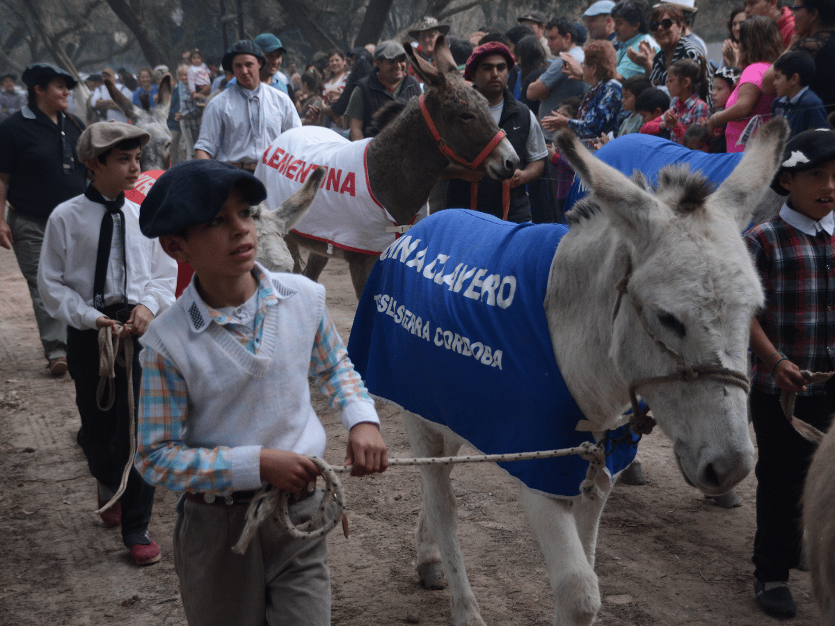 Brinkmann: el domingo llega la Maratón de burros al Camping Municipal     