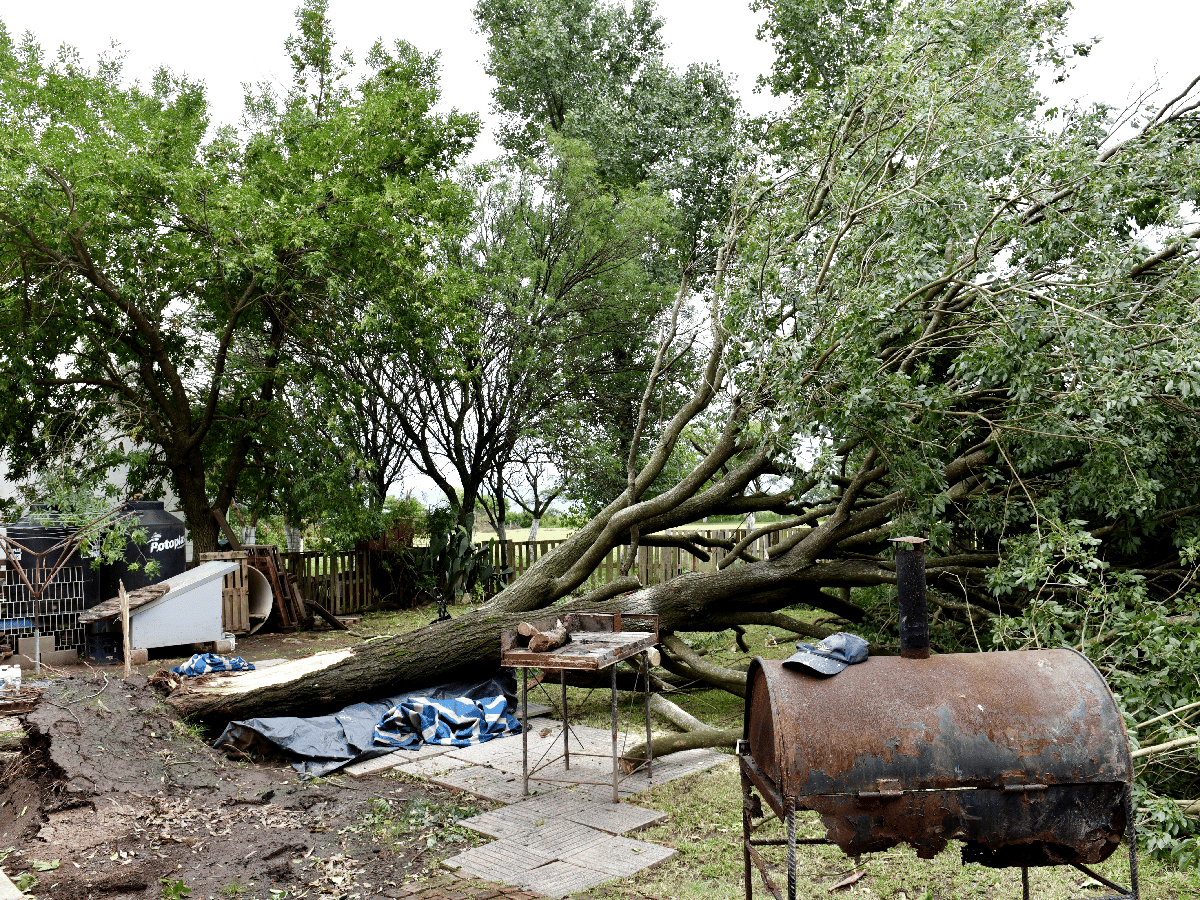 Cuadrillas municipales siguen trabajando en áreas afectadas por la tormenta