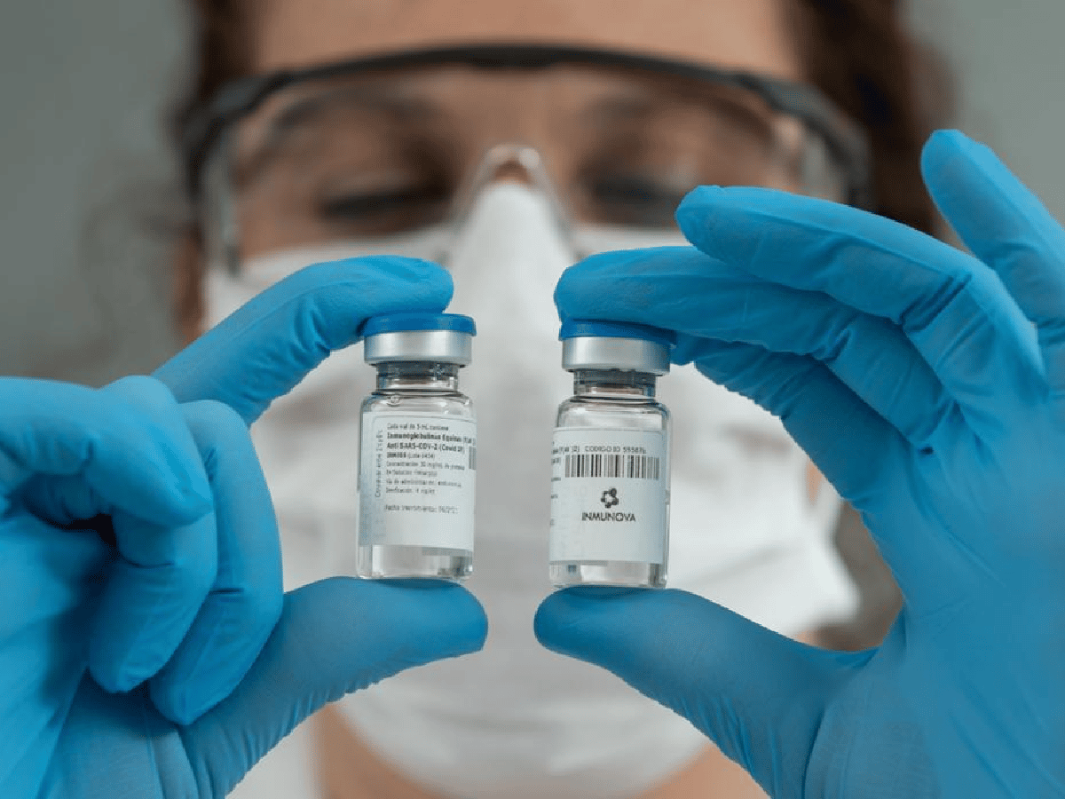 Investigadores argentinos desarrollan un suero terapéutico que neutraliza el coronavirus