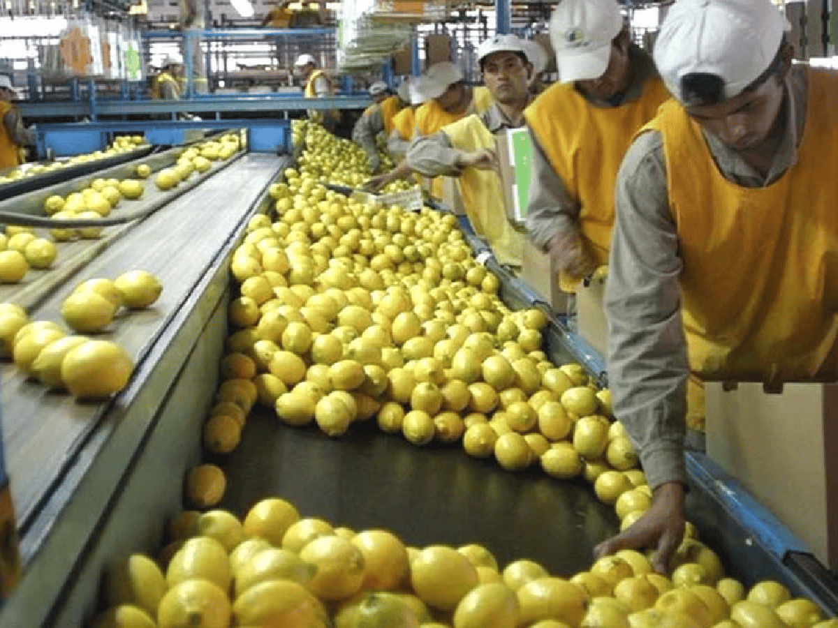 Por primera vez en la historia Argentina exporta limones a China
