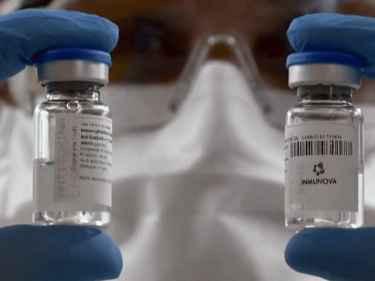 La Anmat aprobó los ensayos clínicos con suero de caballos para pacientes con coronavirus