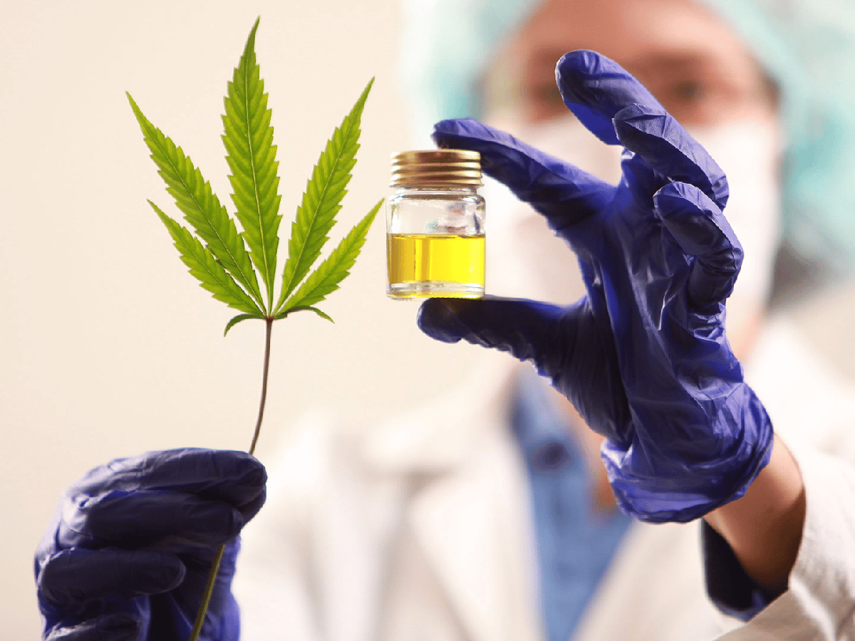 Cannabis medicinal: la nueva reglamentación de la ley propone más producción y acceso para más enfermedades