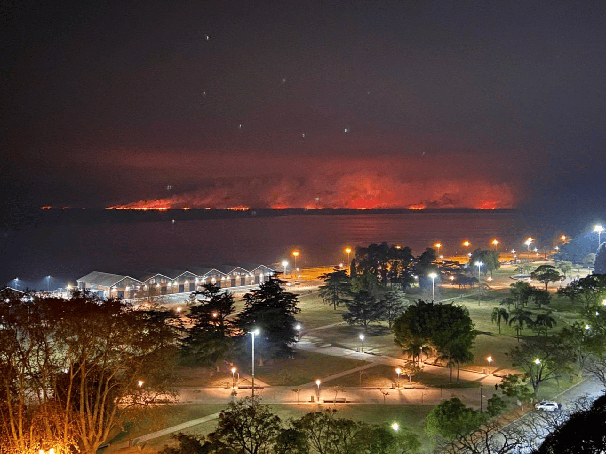 Un incendio quemó 5.000 hectáreas en isla del Paraná