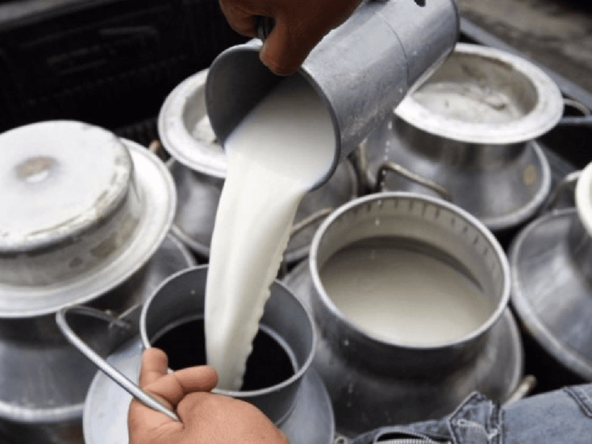 Presupuesto: el proyecto prevé una reducción en la alícuota del IVA a la leche del 21% al 10,5%
