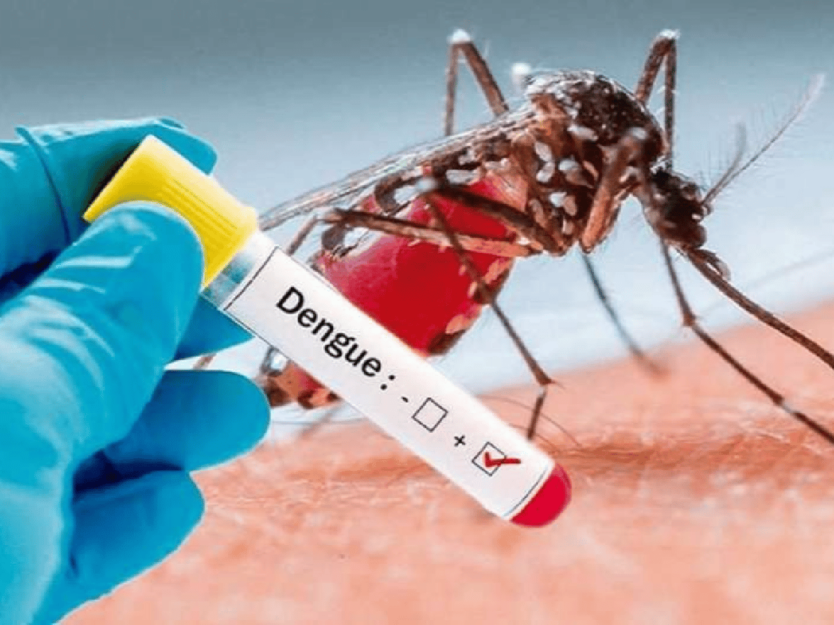 Emergencia Sanitaria por dengue en Santa Fe 