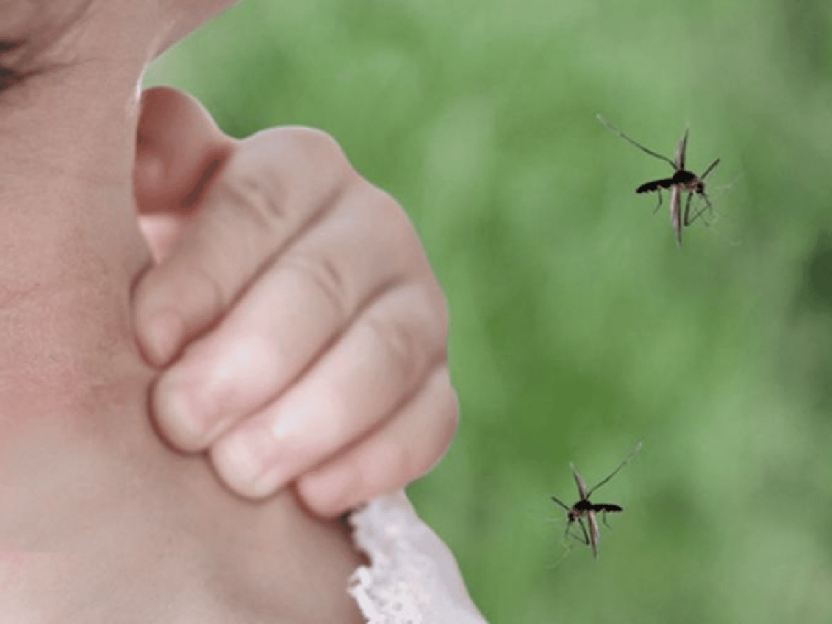 Los casos de dengue confirmados ascienden a 54.870, el mayor registro histórico