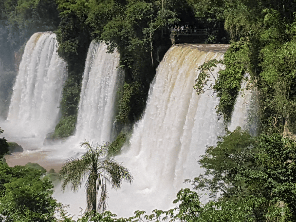 Reabrió el Parque Nacional Iguazú para turismo local