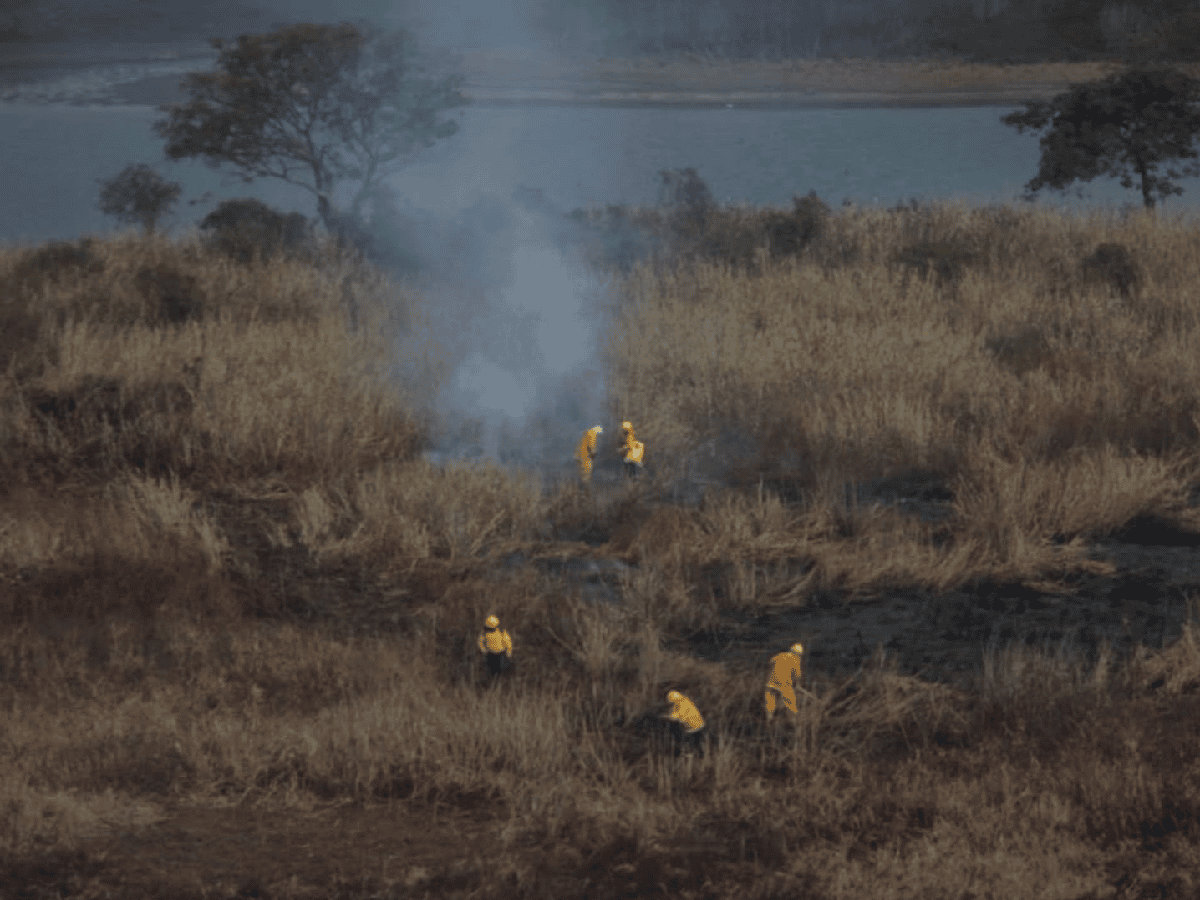 Califican de "ecocidio" la quema de humedales en Entre Ríos