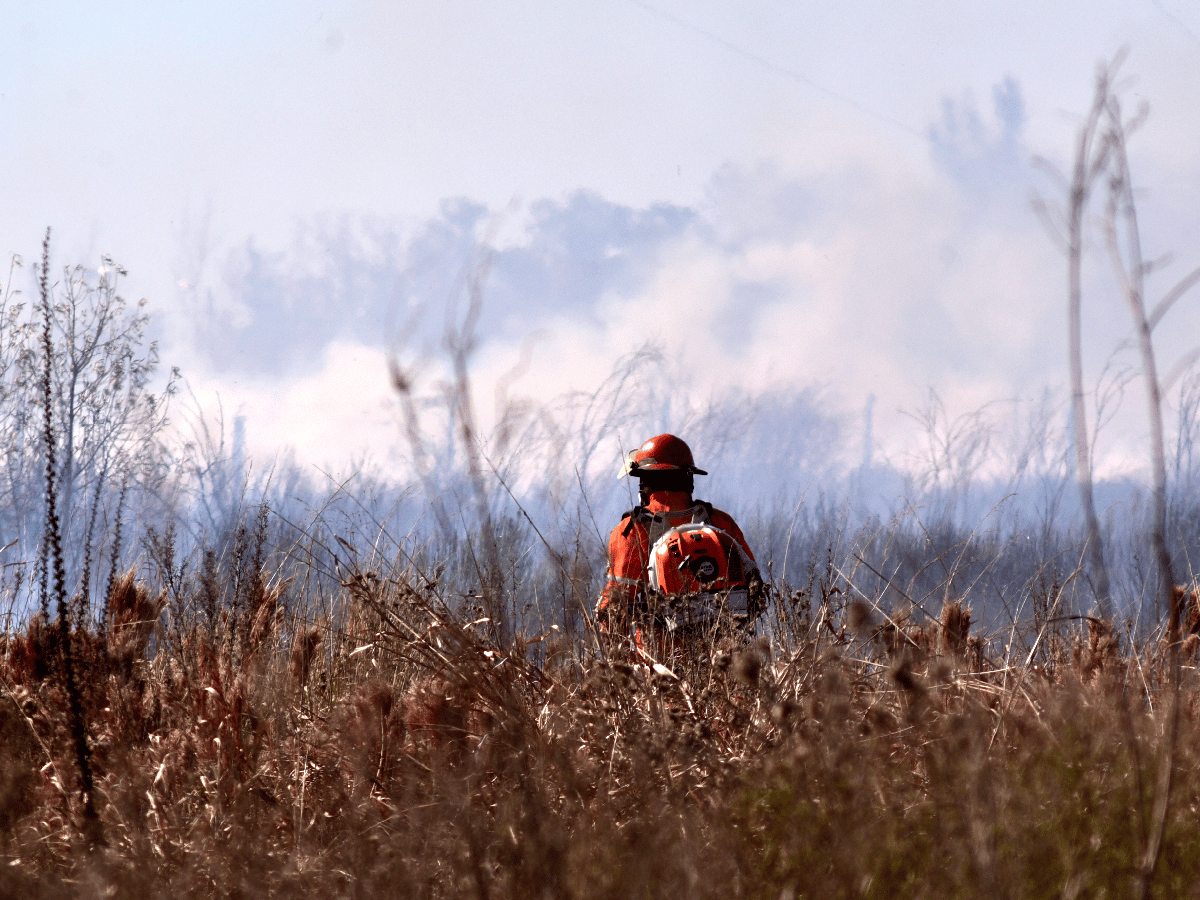 Este año ya se quemaron 60 % más de hectáreas que en 2019 
