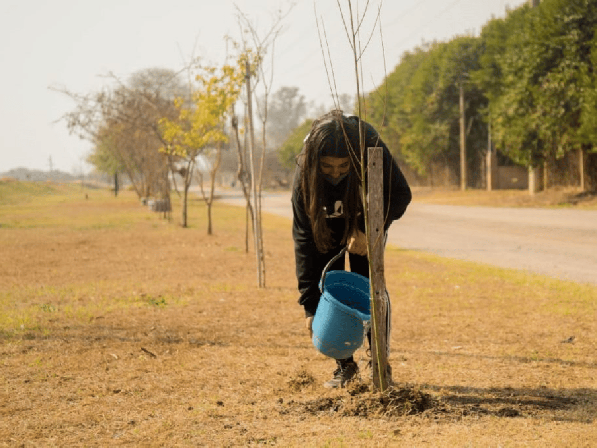 Arroyito: plantaron árboles en escuelas locales y rurales