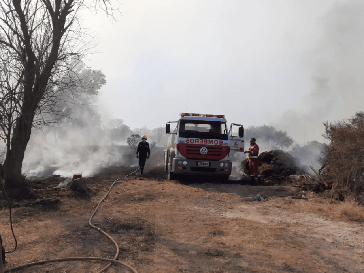 Sequía, incendios y prevención