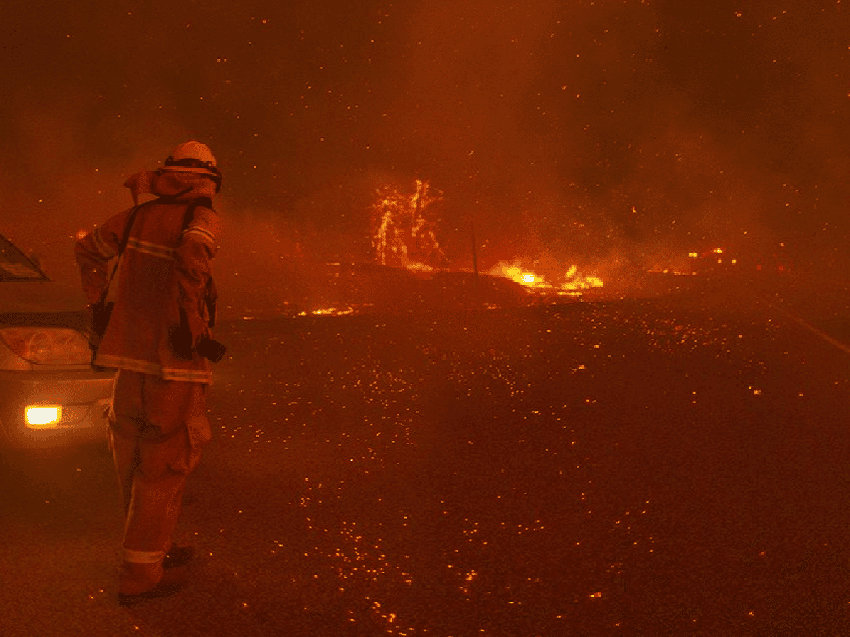 Por los incendios forestales en Estados Unidos se preparan para "muertes masivas"