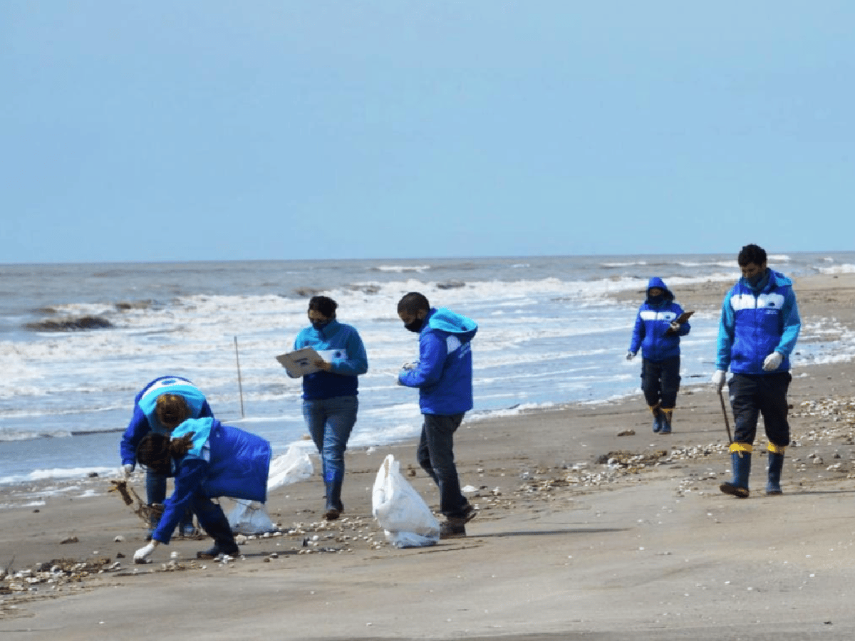 Resultado de censo y limpieza de playas en la costa: el 86% de los residuos encontrados fueron plásticos