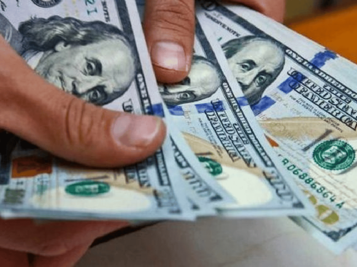 Dólar ahorro: se cayó la página de la Anses para consultar quiénes están habilitados a comprar