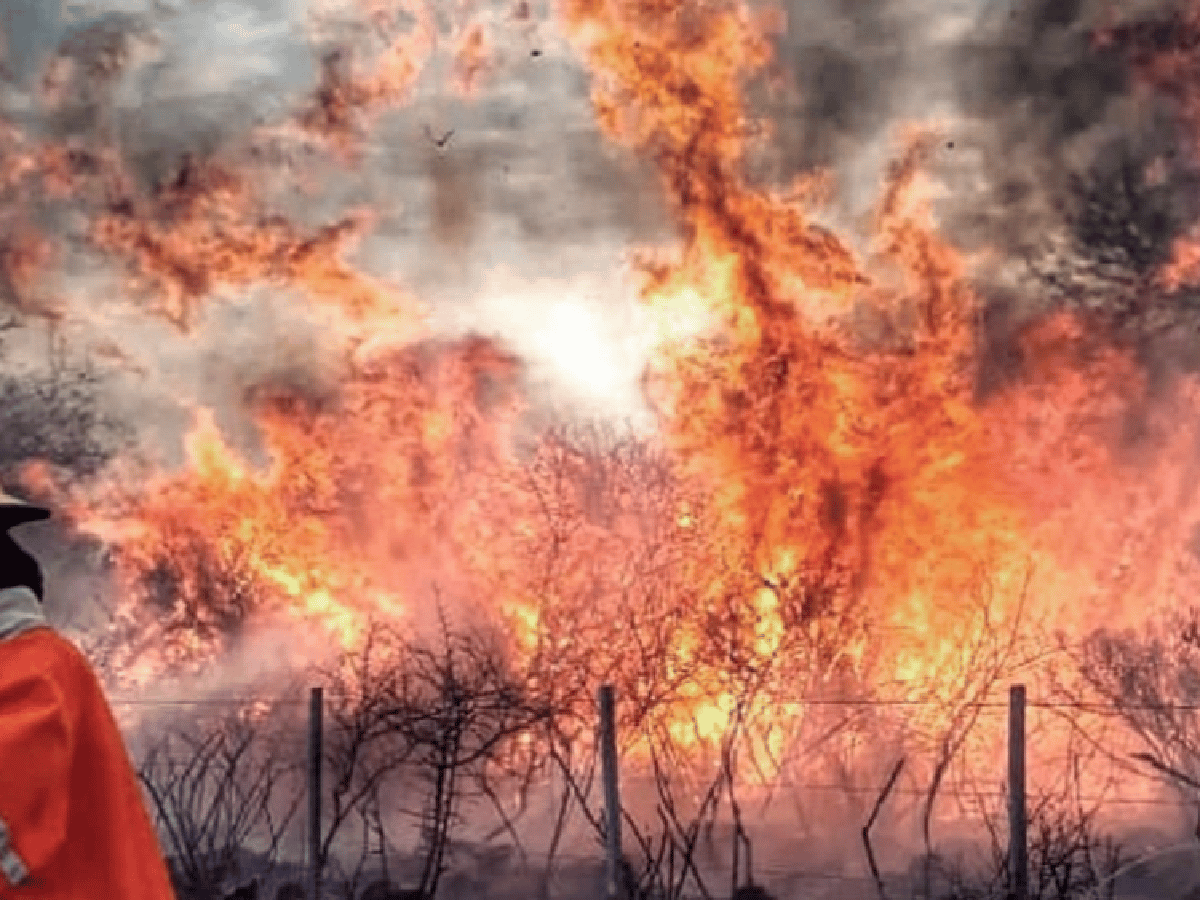 Fuego en Córdoba: los incendios forestales avanzan en el valle de Punilla y norte de la provincia
