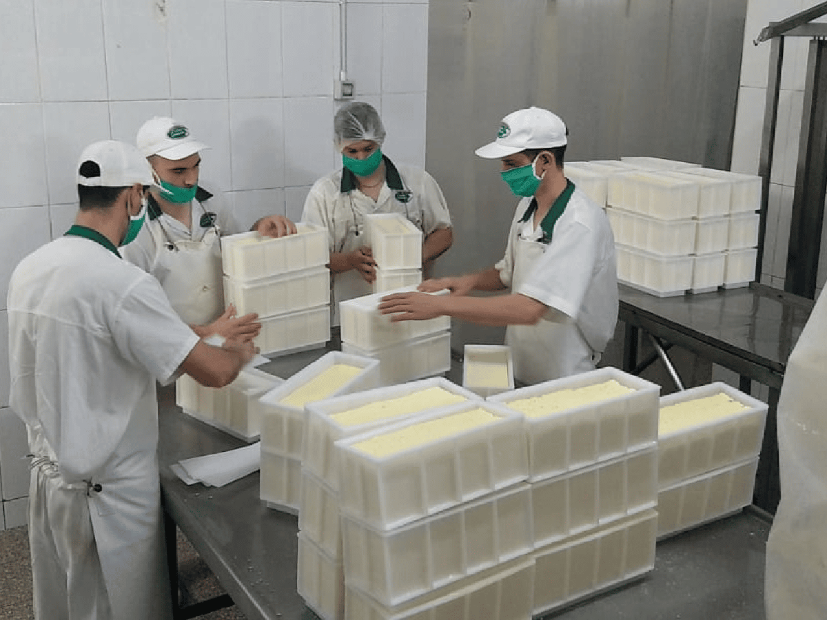 Brinkmann: la cooperativa de quesos que crece en pandemia 