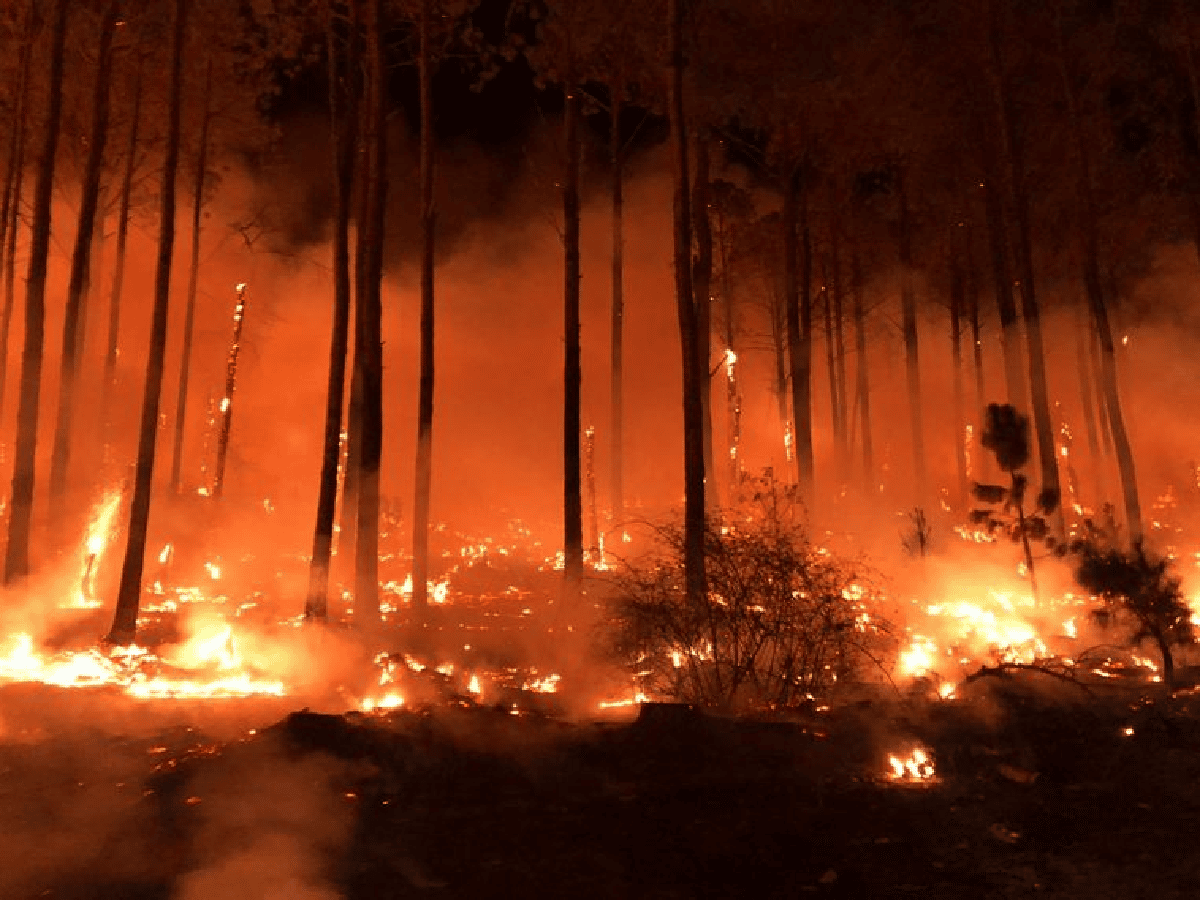 Córdoba: casi 500 bomberos combaten las llamas en la provincia