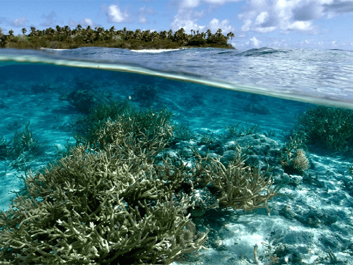 Un hallazgo científico ayudará a entender el impacto del cambio climático en el mar