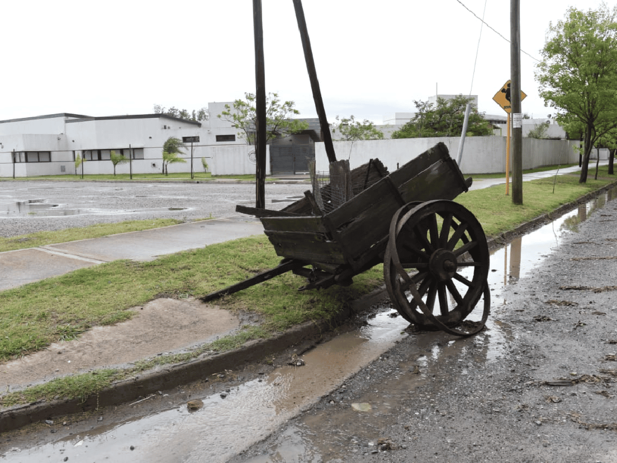 Daño al patrimonio: vándalos destruyeron un centenario carro 