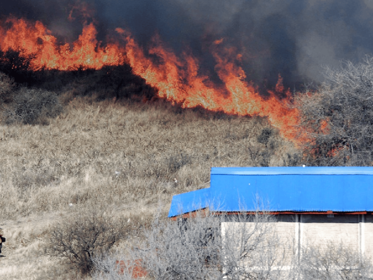 Fuego en Córdoba: se mantiene activo un incendio forestal en la localidad de San Pedro