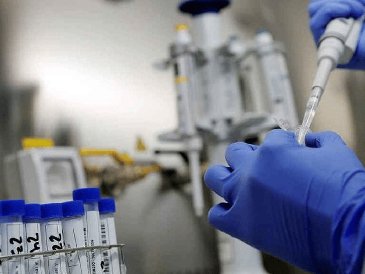 Otra investigación valida la respuesta inmune de la vacuna de Oxford