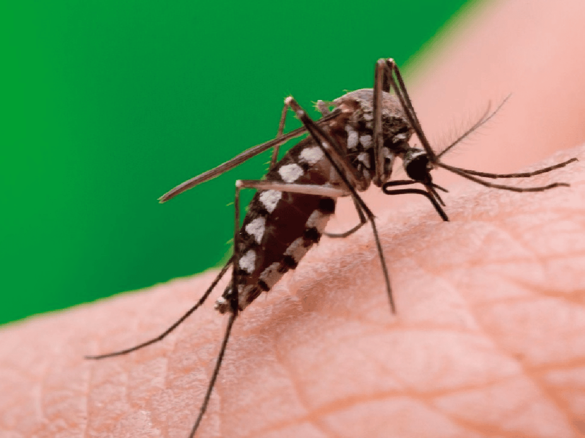 Municipios concientizan para “un verano sin dengue” 
