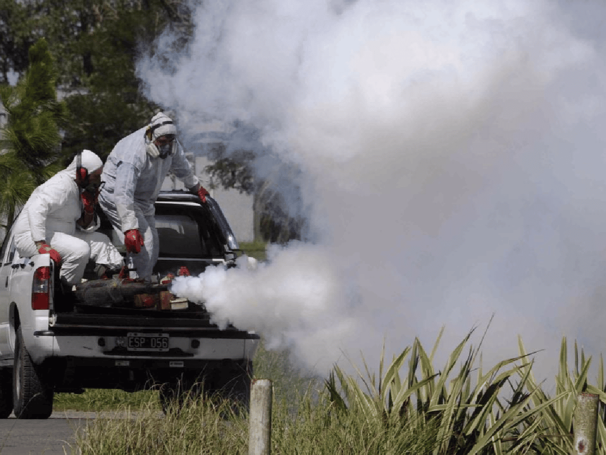 Dengue: cuestionan la efectividad de las campañas de fumigación en la vía pública