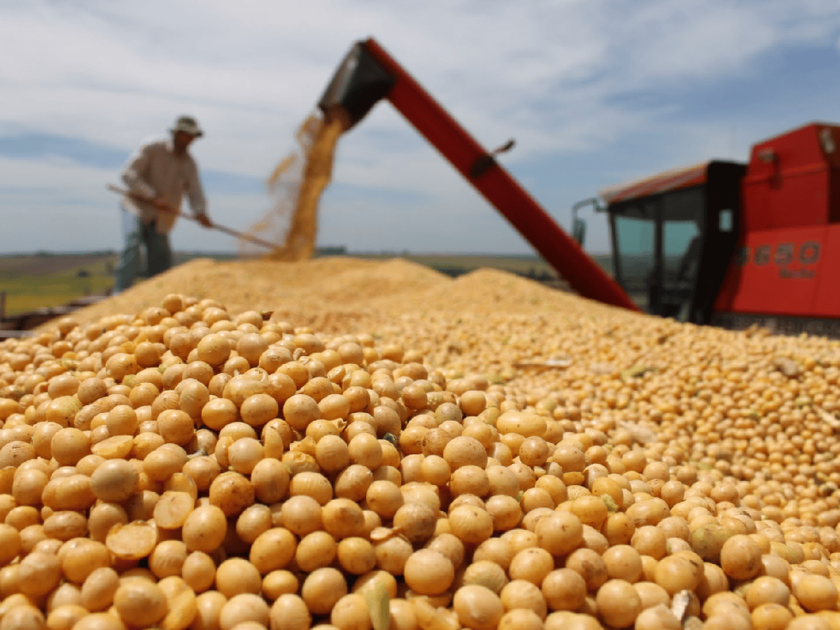 Ponen en marcha compensaciones para pequeños y medianos productores de soja