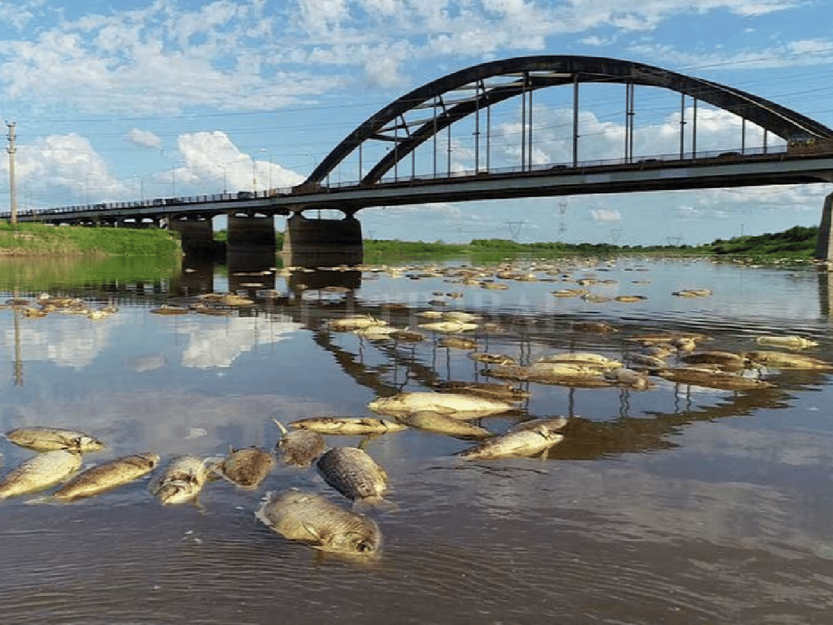 Detectaron agroquímicos en aguas y peces del río Salado en Santa Fe