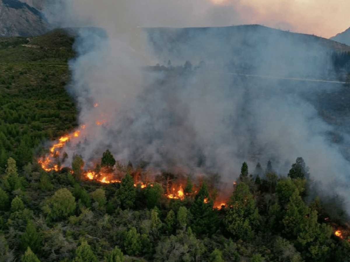 “Nunca vimos algo así”: el incendio en El Bolsón continúa fuera de control y ya arrasó 6.500 hectáreas