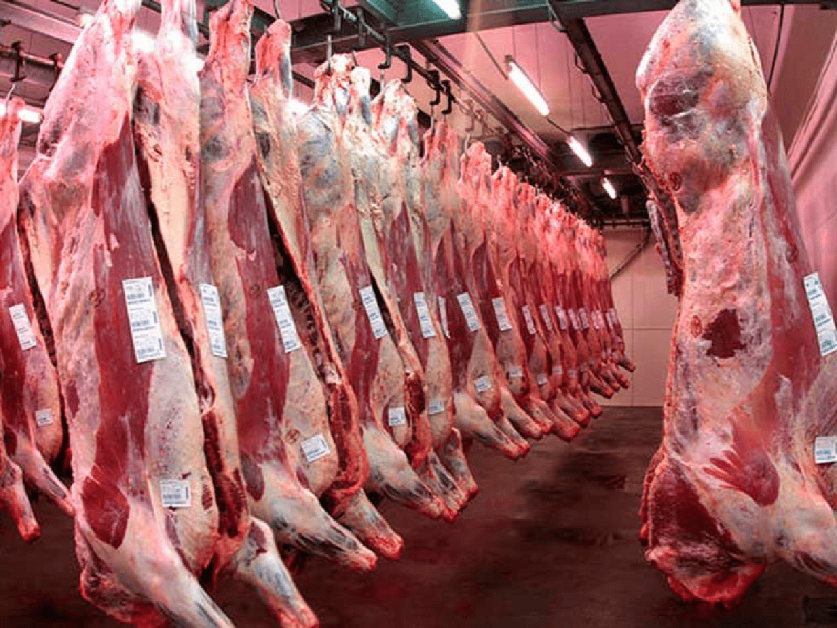 Marcelo Schiariti, presidente de Ciccra: "La carne no es un producto caro, lo que son baratos son los sueldos"