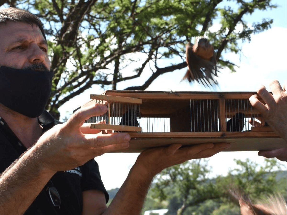 Policía Ambiental liberó 68 aves silvestres en Segunda Usina