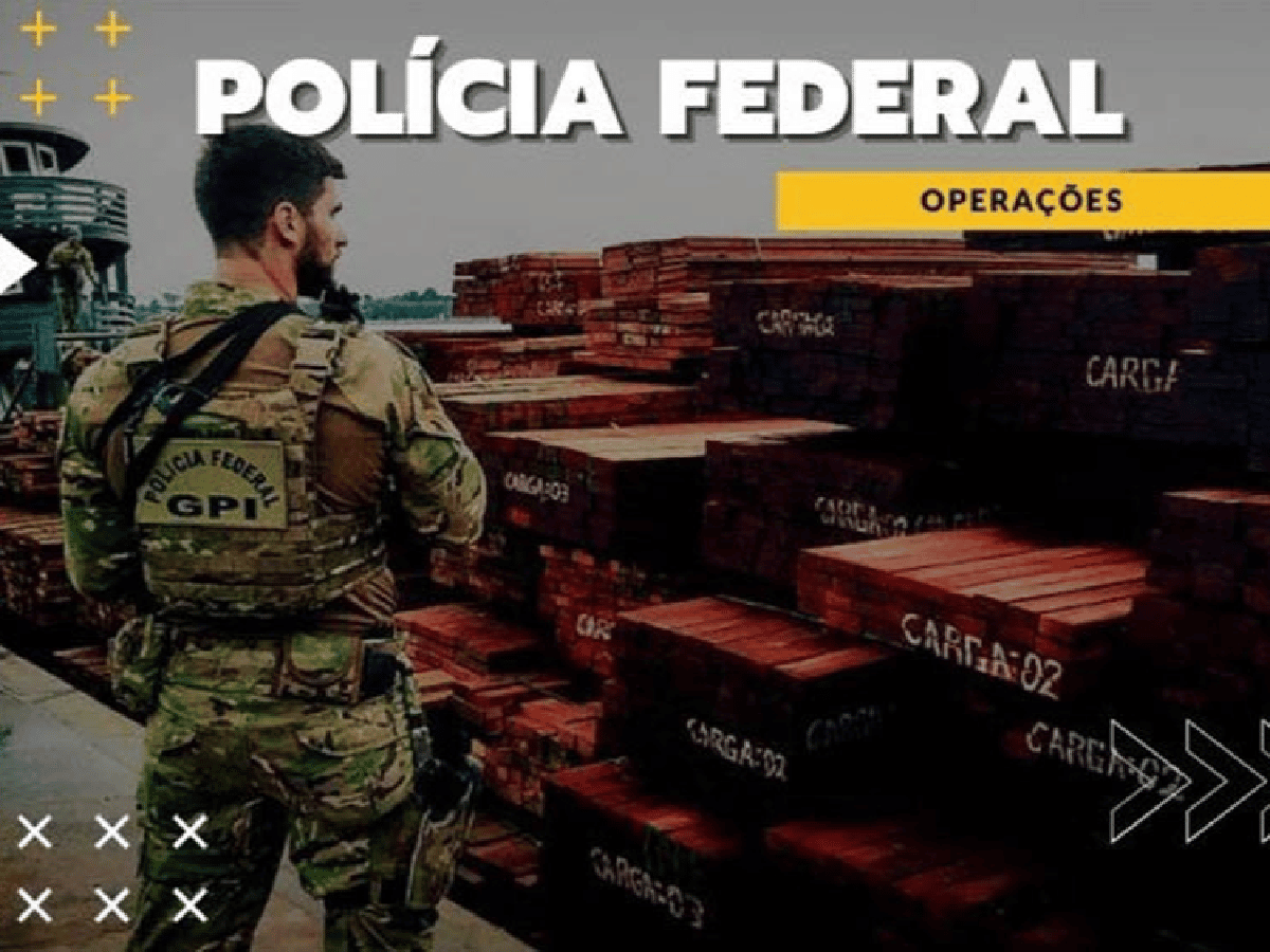 La Corte golpea a Bolsonaro: investiga por tráfico de madera a su ministro de Ambiente