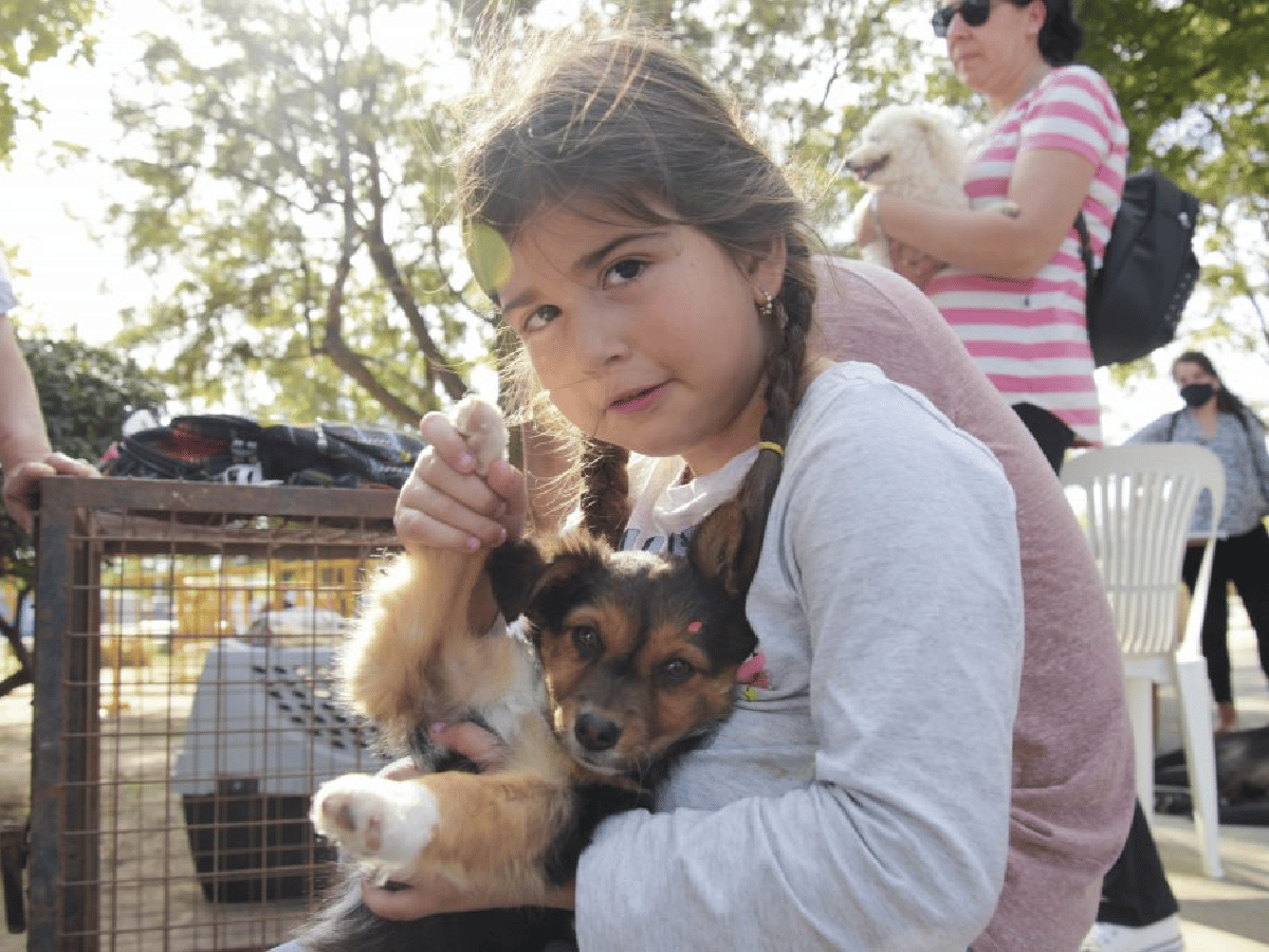 Arroyito: exitosa campaña de adopción responsable  del Refugio Canino Municipal