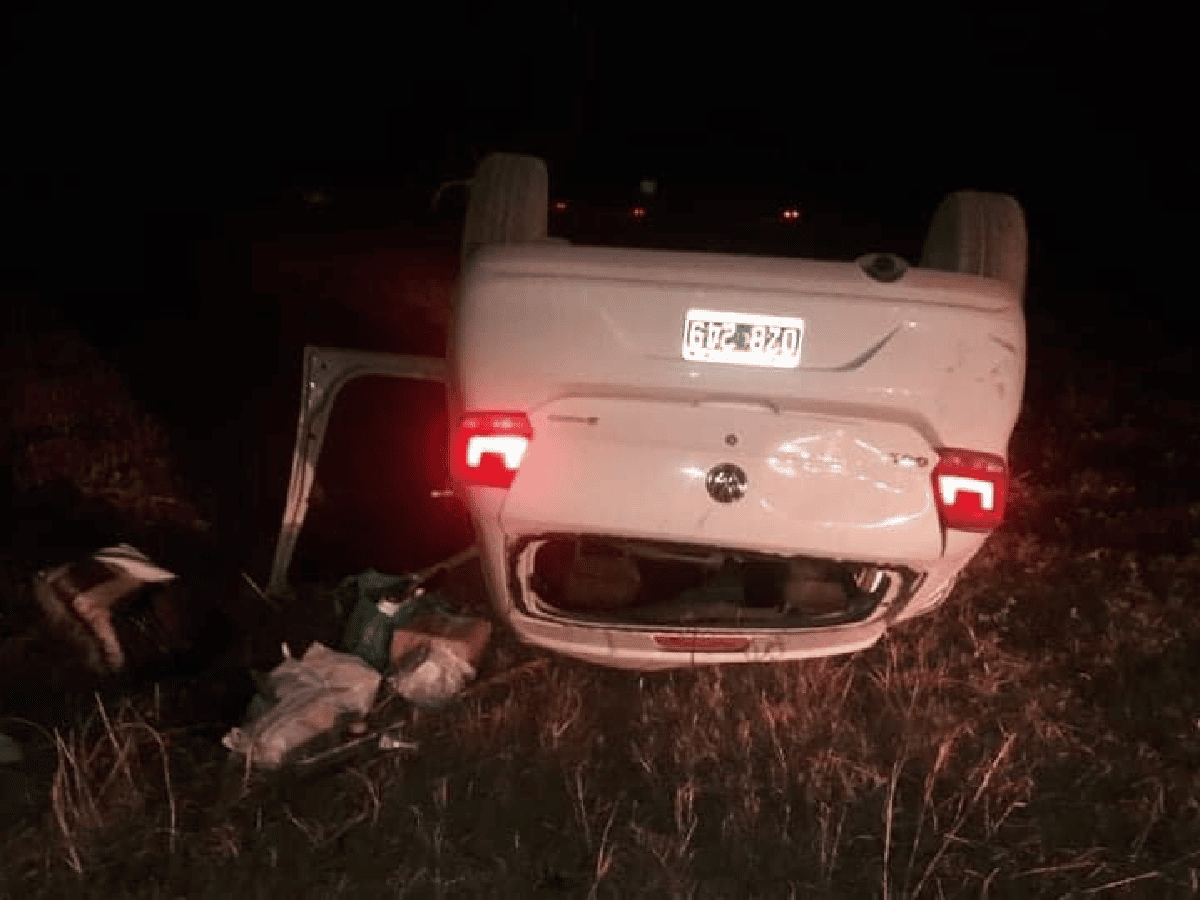Impactante tumbo en la autovía 19: un puma se cruzó y el conductor perdió el control del rodado.