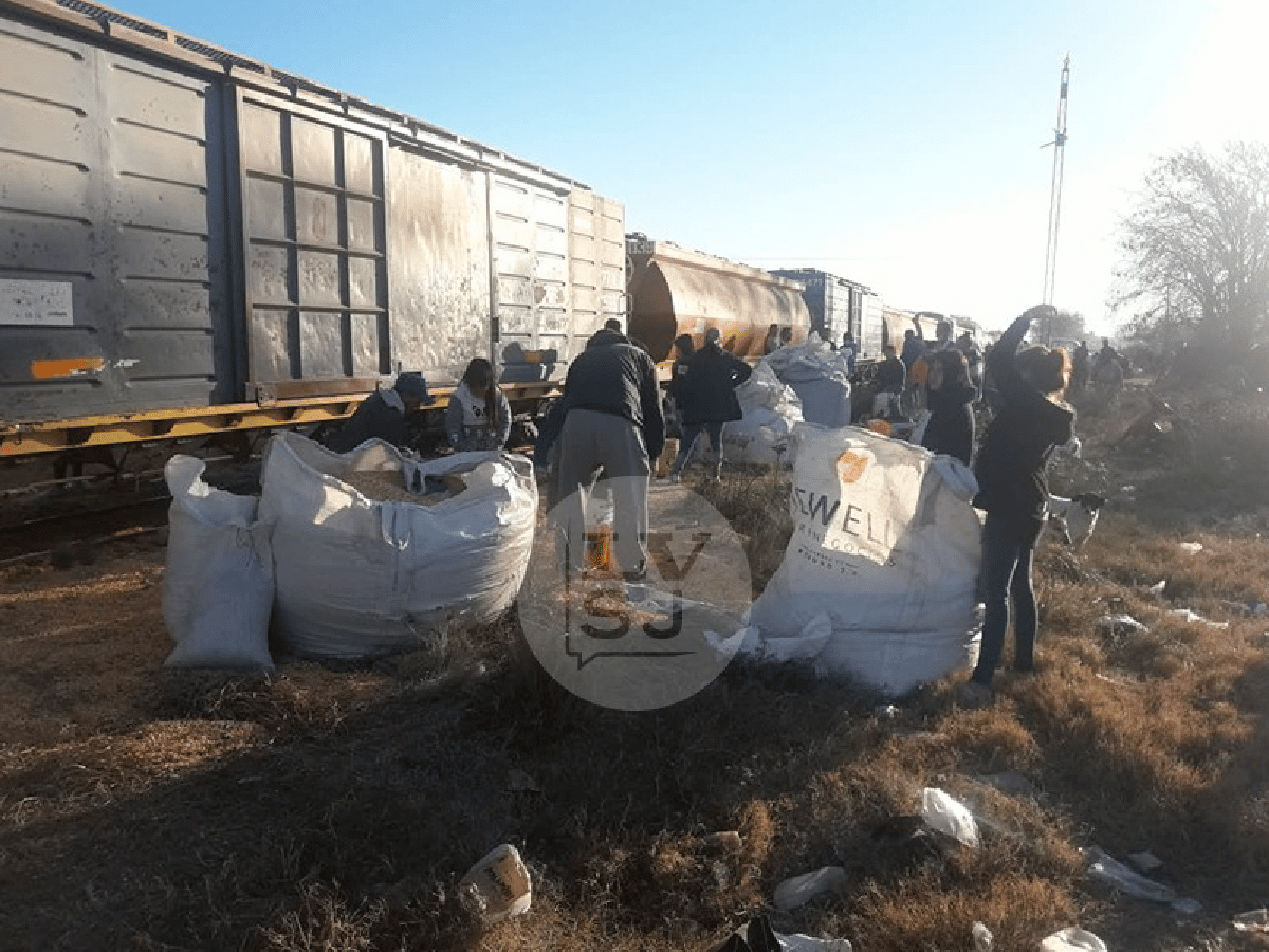 Frontera: saquearon otro tren que transportaba maíz