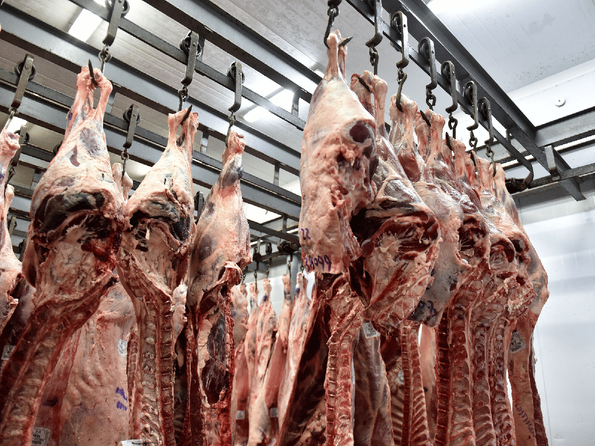 Carne: exportaciones crecieron en volumen pero cayeron en divisas      